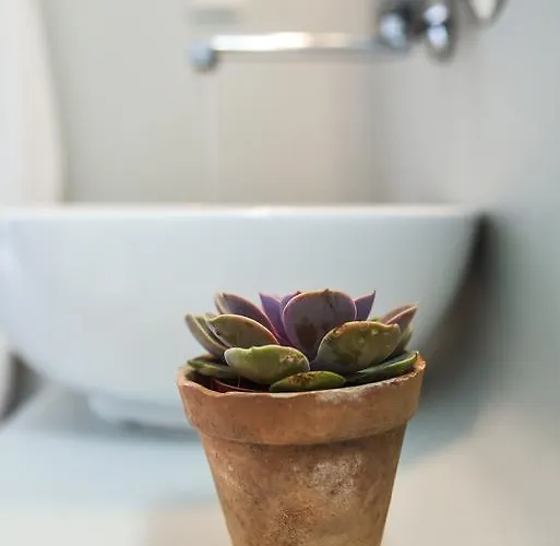 Cavos מלון דירות אגיוס סוסטיס